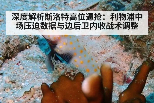 深度解析斯洛特高位逼抢：利物浦中场压迫数据与边后卫内收战术调整