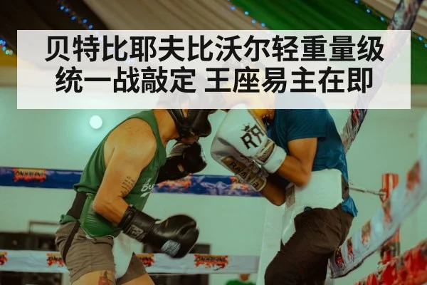 贝特比耶夫比沃尔轻重量级统一战敲定 王座易主在即