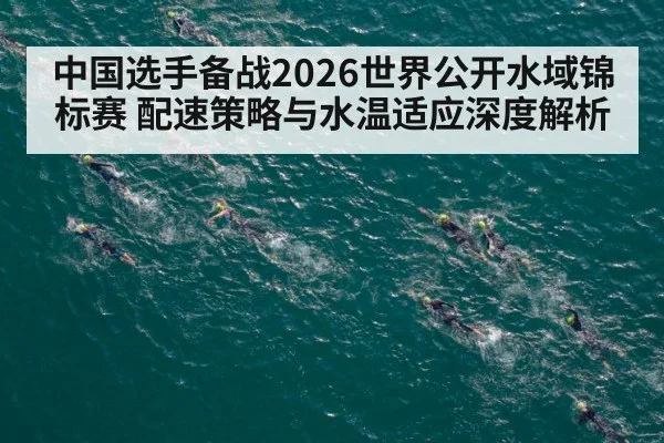open water swimming race competitors